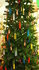 Kweek zelf uw kerstboom._